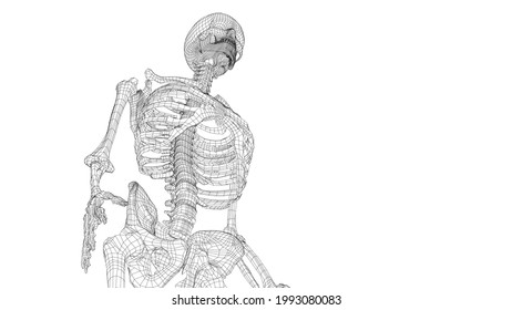 Human skeleton. Vector rendering of 3d. Wire-frame style. Illustration for medicine