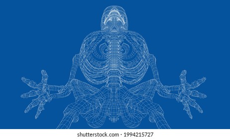 Human skeleton. Vector rendering of 3d. Wire-frame style. Illustration for medicine