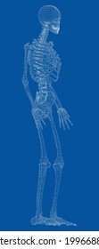 Human skeleton. Vector rendering of 3d. Wire-frame style. Illustration for medicine