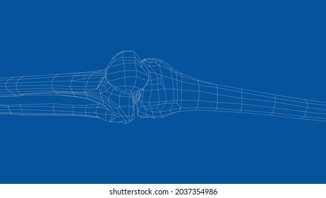 Human skeleton. Vector rendering of 3d. Wire-frame style. Illustration for medicine