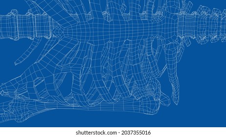 Human skeleton. Vector rendering of 3d. Wire-frame style. Illustration for medicine