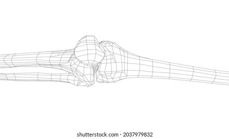 Human skeleton. Vector rendering of 3d. Wire-frame style. Illustration for medicine