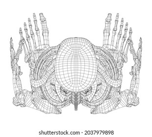 Human skeleton. Vector rendering of 3d. Wire-frame style. Illustration for medicine