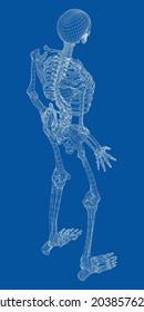 Human skeleton. Vector rendering of 3d. Wire-frame style. Illustration for medicine