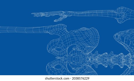 Human skeleton. Vector rendering of 3d. Wire-frame style. Illustration for medicine