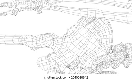 Human skeleton. Vector rendering of 3d. Wire-frame style. Illustration for medicine