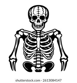 Human skeleton Vector Set in Various Cartoon Poses and Styles