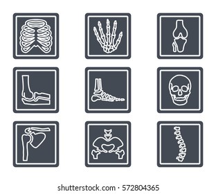 human skeleton x-ray bone silhouette icon
