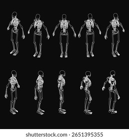 Human skeletons arranged symmetrically on a black background, showcasing detailed anatomy. Each skeleton has a unique shape and size, highlighted by stark white outlines.