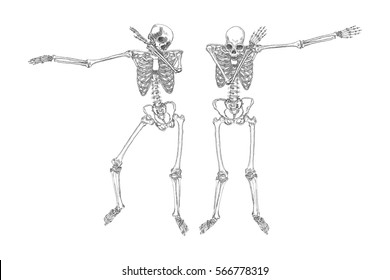 Human skeletons dancing DAB like friends, perform dabbing move gesture in group, posing isolated on white background, vector.