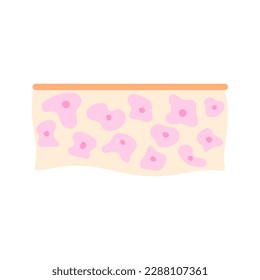 Icono de la célula de piel humana. Núcleo y tejido de membrana bajo microscopio. Estructura del microorganismo. Concepto de biología. Ilustración de diseño médico.