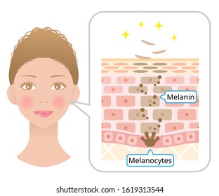 Human Skin Cell Turnover Anatomy And Black Woman Face. Beauty And Skin Care Concept.