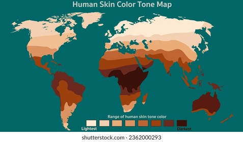 Media del mapa de color de la piel humana. La luz del mundo a la más oscura, el área de melanina. asiático, africano europeo, americano. Atlas globales de niveles de pigmentación de la piel. Radiación ultravioleta, vitamina D. Vector de ilustración