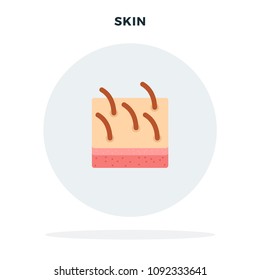 Human skin with hair in section vector flat material design isolated on white