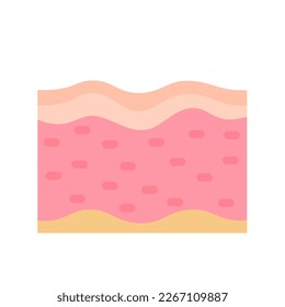 human skin layer Caring for protecting the skin from the sun with a skin serum.