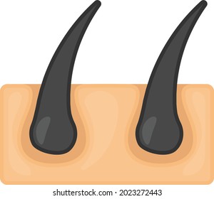 Human skin layered epidermis with hair follicle Concept Vector color Icon Design, Organ System Symbol, Human Anatomy Sign, Human Body Parts Stock illustration