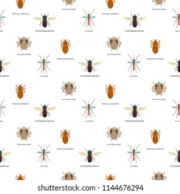 Human skin parasites vector housing pests insects disease parasitic bug macro animal bite dangerous infection medicine pest seamless pattern background illustration.
