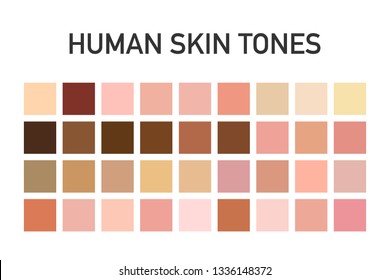 Human Skin Tone Color Palette Set Stock Vector (Royalty Free) 1336148372