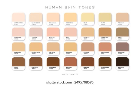 Human skin tone color palette set. Abstract concept for person face, body, cosmetics. Beige background collection