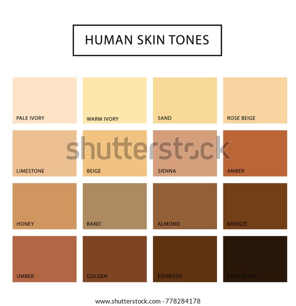 人間の肌色セット 最も濃い茶色から最も明るい色まで 人の顔や体の色を染める肌の色 ベクターフラットスタイルの漫画のイラスト のベクター画像素材 ロイヤリティフリー
