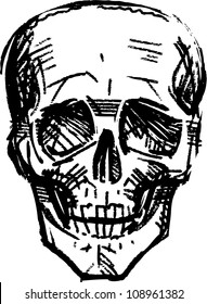 human skull