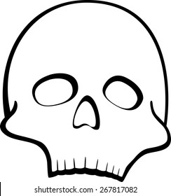 human skull