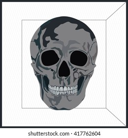 human skull