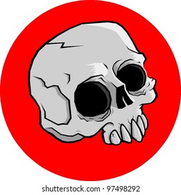 human skull