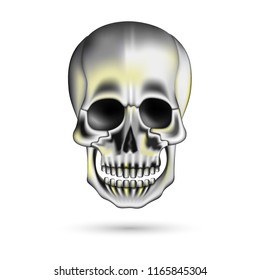 Human skull 3D isolated on white. Vector illustration EPS10.