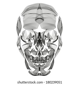 Human Skull abstract line art illustration isolated on white