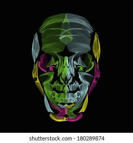 Human Skull abstract line art illustration isolated on white