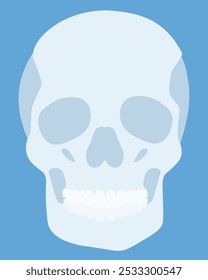 Human skull, anatomical part of the skeleton or symbol of the Day of the Dead vector illustration