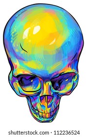 Human skull anatomy