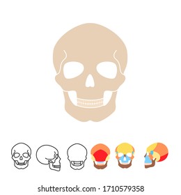 Human skull anatomy. Flat vector medical illustration isolated. Structure of facial skeleton with main parts. Cranium diagram with part bones. Front, back and side view. Educational, science poster 
