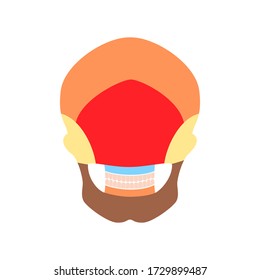 Human skull anatomy. Flat vector medical illustration isolated. Structure of facial skeleton with main parts. Cranium diagram with part bones. Posterior back view. Educational, science poster .