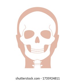 Human skull anatomy. Flat vector medical illustration isolated. Structure of facial skeleton with main parts. Cranium diagram with part bones. Educational, science poster .