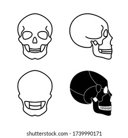 Human skull anatomy. Flat vector medical illustration isolated. Structure of facial skeleton with main parts. Cranium diagram with part bones. Educational, science poster. Front, back and side view. .