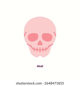 Human skull anatomy flat vector illustration