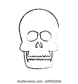human skull anatomy health front sketch
