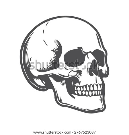 Human skull anatomy vector icon set.