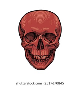 Human skull. Art detailed editable illustration. Vector vintage engraving. Isolated on white background.