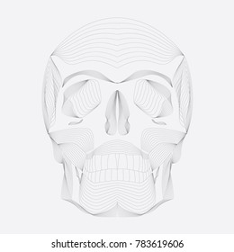 Human Skull Art. Vector illustration