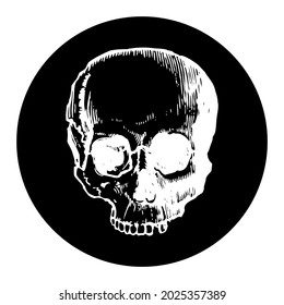 Human Skull Black Circle Vector Illustration Stock Vector (Royalty Free ...