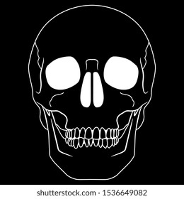Human skull. Black and white linear silhouette. Isolated vector illustration.