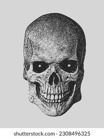 Human Skull in Black And White Monochrome