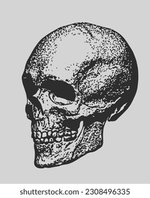 Human Skull in Black And White Monochrome