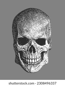 Human Skull in Black And White Monochrome