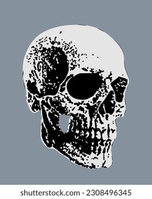 Human Skull in Black And White Monochrome