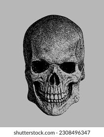 Human Skull in Black And White Monochrome