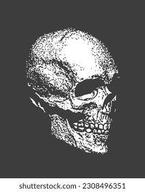 Human Skull in Black And White Monochrome